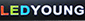 Ledyoung (S) Pte Ltd